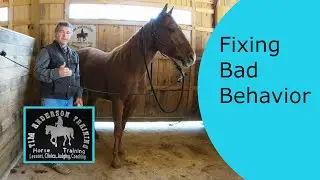 How a training plan will help you fix bad horse behavior.