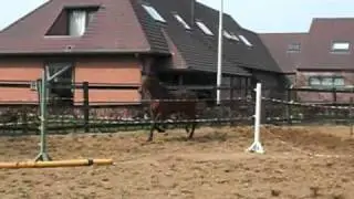 Ilfort Ter Dieschoot