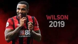Callum Wilson 2019 - skills & goals | top Bournemouth stricker  | HD