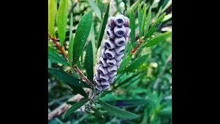 beautiful nature in December 2020