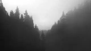 Veintears  -  Nighttime Depression