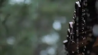 Звук Дождя 2 Часа 🌧️ Мягкий Дождь с Лёгкой Музыкой