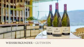 Weingut Van Volxem - Weissburgunder
