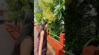 ❤️#templevideos