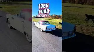 1955 Ford Thunderbird: The Birth of an American Icon!
