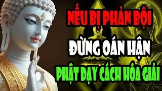 Bị Phản Bội Đau Đến Tận Xương – Nghe Lời Phật Dạy Để Buông Oán Hận Và Nghiệp Nhẹ Cả Đời