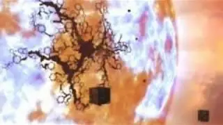 A short synopsis of the Borg