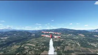 WAAAM AEROBATIC STEARMAN (N450PW) 450HP ENGINE