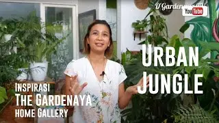URBAN JUNGLE (HOME DECOR)