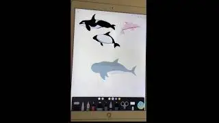 Drawing requests LIVE - dolphins