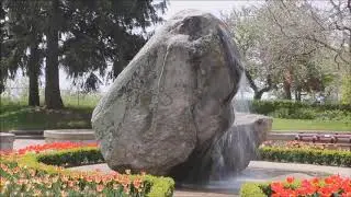 The Most Beautiful Tulip Gardens in The World