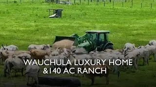 140 Acre Florida Luxury Ranch for Sale | Equestrian Estate with Home, Stables & Arena | Wauchula, FL