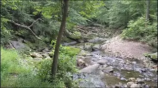 Rock Creek Park: West of Glover, North of Grant | Washington, DC, USA | Slow TV | Walkana