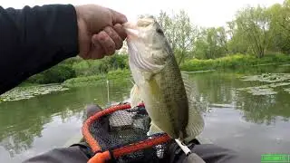 Cibolo creek bassin.