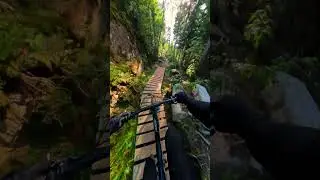 🧘 Most peacefull MTB trail ?! #mtblife #mountainbike #mtbtrails