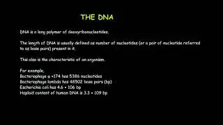 The DNA and Components of Polynucleotide Chain