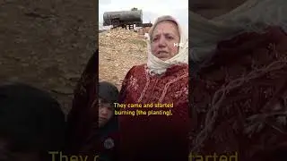 Tide of settler violence led by hilltop outposts