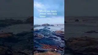 #VagatorBeach #GoaVibes