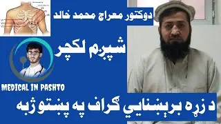 6 ECG in Pashto |Electrocardiography |Dr Miraj Mohammad Khalid |د زړه برېښنايي ګراف شپږم درس
