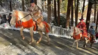 北海道 函館八幡宮 🐴新年騎馬参拝（視聴者お祓い有） 2026.1.2