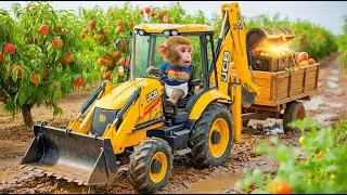 Monkey Learns Road Repair! Fixing the Farm Road After Heavy Rain with a Tractor 🚜🌧️