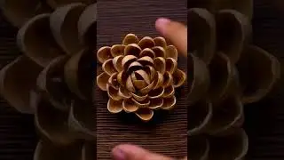DIY Succulent From Pistachio shell