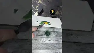Почему зелёный цвет так ненавидят?