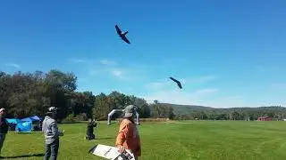 NEFPV FEAT Meet