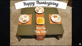 2024 Thanksgiving Diner At The Kitty Table