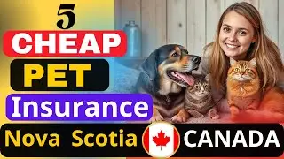 Top 5 Cheapest Pet Insurance Companies in Nova Scotia Canada 2025 | Best Affordable Pet Coverage