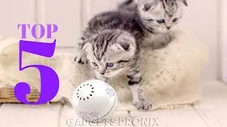 The 5 Best Electronic Cat Toys To Buy In 2020