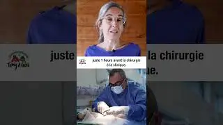 Castration du lapin - Episode 2