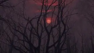 BRUJER&Iacute;A SIN FILTROS: CONSEJOS DE BRUJA PARA PROTECCI&Oacute;N EN TU TRABAJO🖤✨️