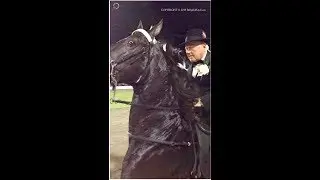 2018 TN WALKING HORSE WORLD GRAND CHAMPION 