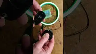 Programming a common remote cloning button