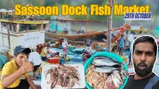 Sassoon Dock Fish Market | Colaba Wholesale Market | 29th October Fresh Seafood Prices