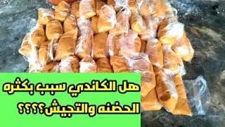 العجينه البروتينيه وتأثيرها على الحضنه صيفا