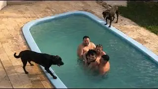 100 MOMENTOS DE CARMA INSTANTANEO CAPTURADOS EM VIDEO!