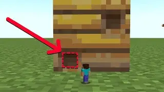 whats inside the bee nest?