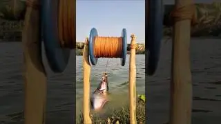 Amazing unique chicken liver trap fishingmethod #fishing #video #viral