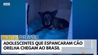 Adolescentes que espancaram c&atilde;o Orelha chegam no Brasil | Bora Brasil