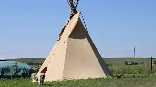 Buffalo Tipi Raising