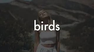 Tropical Pop Instrumental 2019 - Birds /w hook (SOLD)