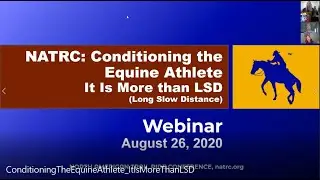 Conditioning The Equine Athlete: It Is More Than LSD