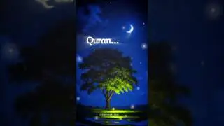 Majestic Touching Relaxing❣️ Quran Recitation Voic...27, 2025