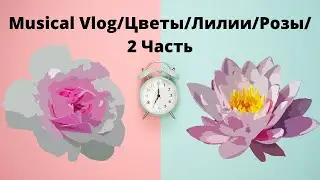Musical Vlog/Цветы/Лилии/Розы/2 Часть