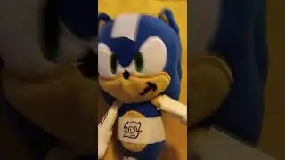 I custom made my sonic plushies (made by my self)