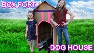 Box Fort Dog House