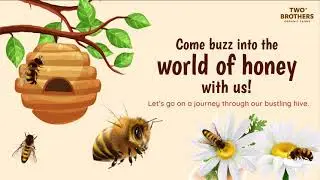Different types of honey 01