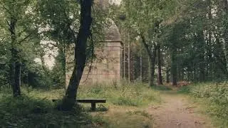 Mamhead Obelisk - Cinematic Forest Walk